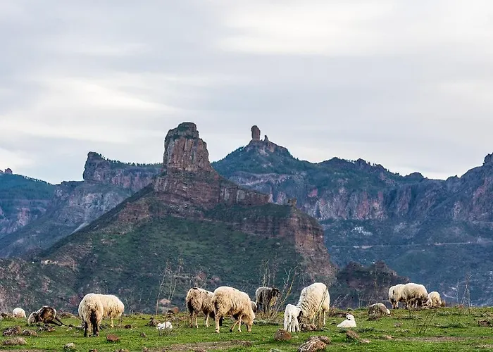 Διαμέρισμα Dunaflor Active & Chill Μασπαλόμας